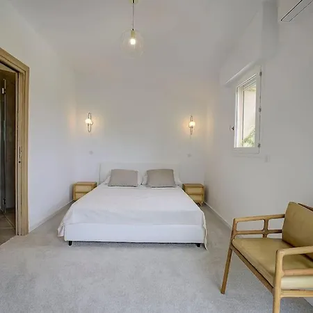 Twin Luxurious 8 Bedroom Pool In Vallauris