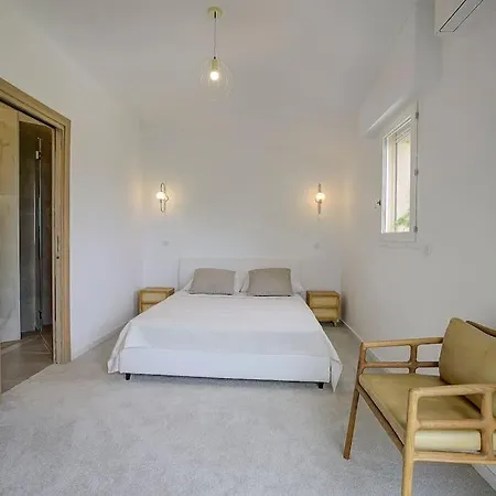 Twin Luxurious 8 Bedroom Pool In Vallauris